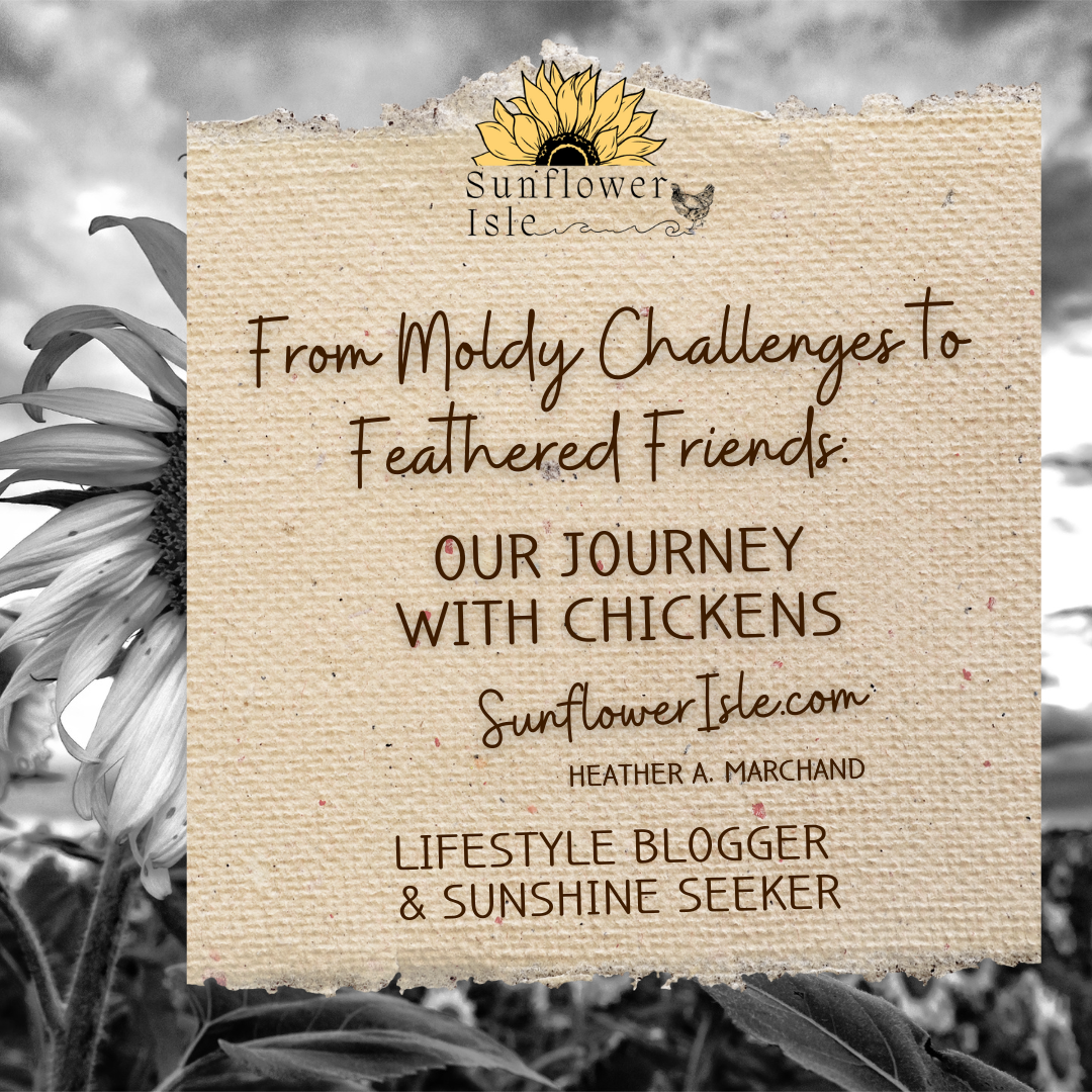 From Moldy Challenges to Feathered Friends: Our Chicken Journey Begins