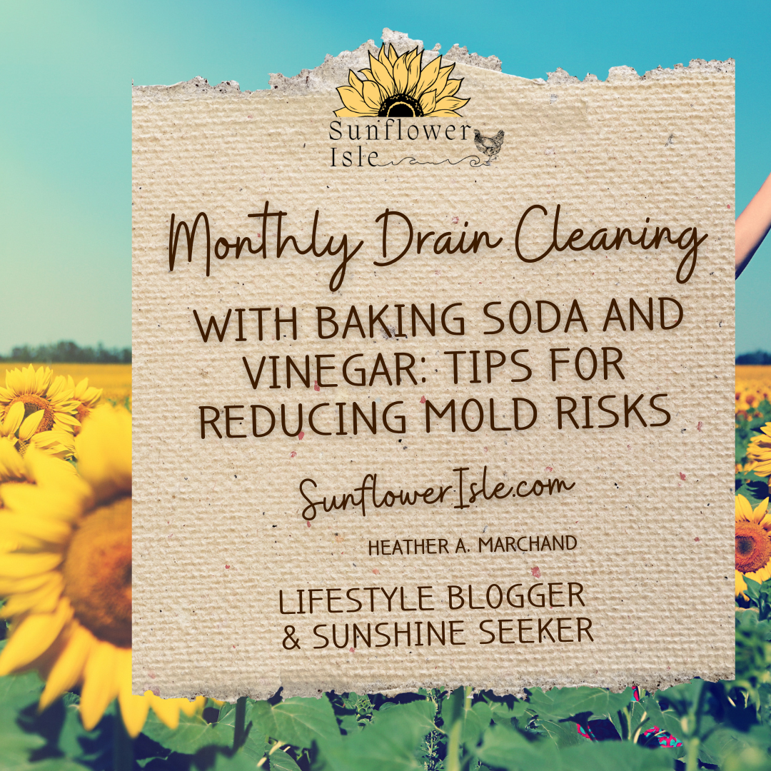 Monthly Drain Cleaning with Baking Soda and Vinegar