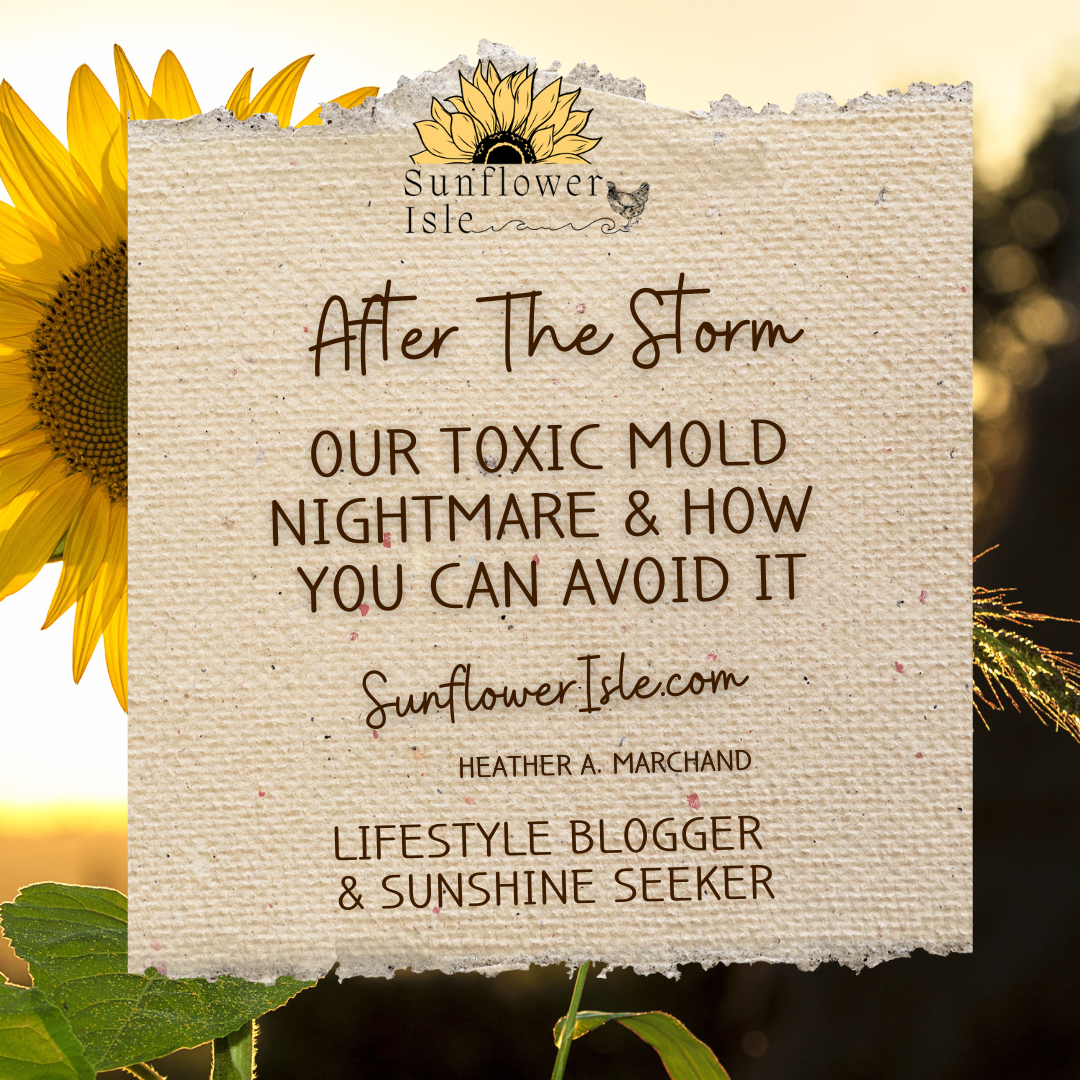 Hurricane Helene Aftermath: Mold Risks and Solutions